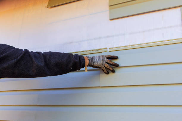 Affordable Siding Repair and Maintenance Services in Stepping Stone, CO